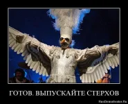 1347276020_litxdmistehq.webp