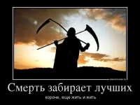s3img_286717449_10031_1.webp
