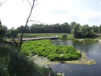 078.webp