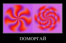 demotivatory_48.webp