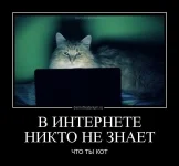 1904926.webp