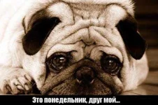 CbPCJC7-vBw.webp
