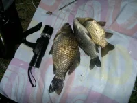 2012-09-16-051.webp