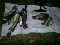 2012-09-16-053.webp