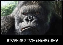 вт.webp