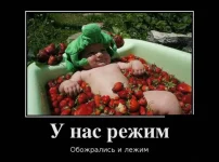 1340354895_demotiw2-2.webp