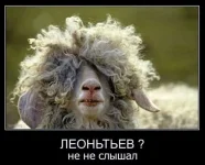 getImage (38).webp