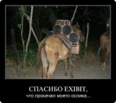 getImage.webp