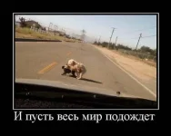 getImage (2).webp