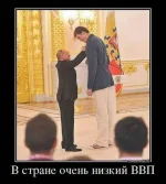 getImage (36).webp