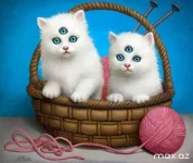 13187_1000.webp