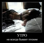 Утро.webp