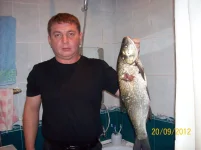 100_3089.webp