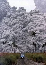 getImage (22).webp