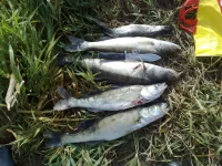 220920121017.webp