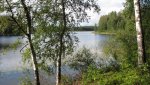 IMG_4460.jpg