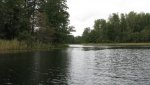IMG_4547.jpg