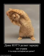 0a138c8e6bdec192a9731db62d621663.webp