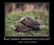 s3img_12398122_65554_7.webp