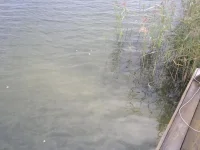 2012-09-25-103.webp