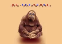 sreda.webp