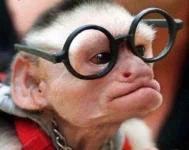 ср.webp