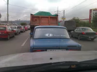 IMAG0187.webp