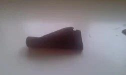 IMAG0044.webp