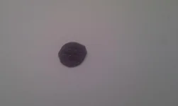 IMAG0049.webp