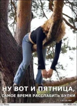Пятн. булки.webp