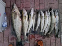 2012-09-28-119.webp