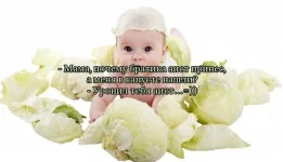 1347948702_frazi_19.webp