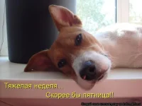 ч.webp