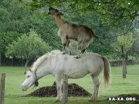 getImageCADFRCC0.webp
