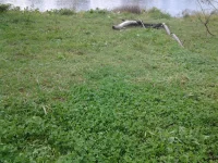 20121004_170039.webp