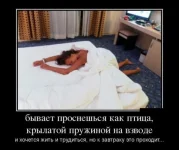 Утро....webp