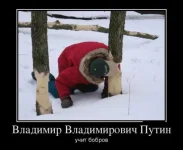 134885962752383.webp
