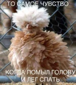 134912004467757.webp