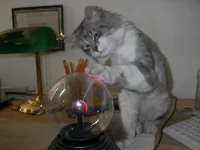 picdump_catsmob_dot_com_01570_034.webp