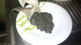 2012-09-27-205.webp