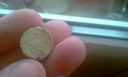 IMAG0100.webp