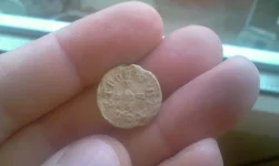 IMAG0101.webp