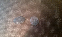 IMAG0090.webp