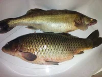 20121007_234511_911.webp