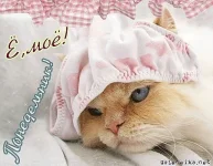 getImageCATR2RAC.webp