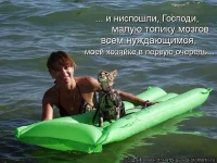 getImageCA3OVIM2.webp