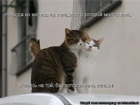 getImageCASURY6V.webp