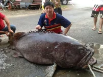 223kilo.webp