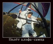 альфа_стерх.webp