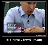 399607_283655408411887_1715971720_n.webp